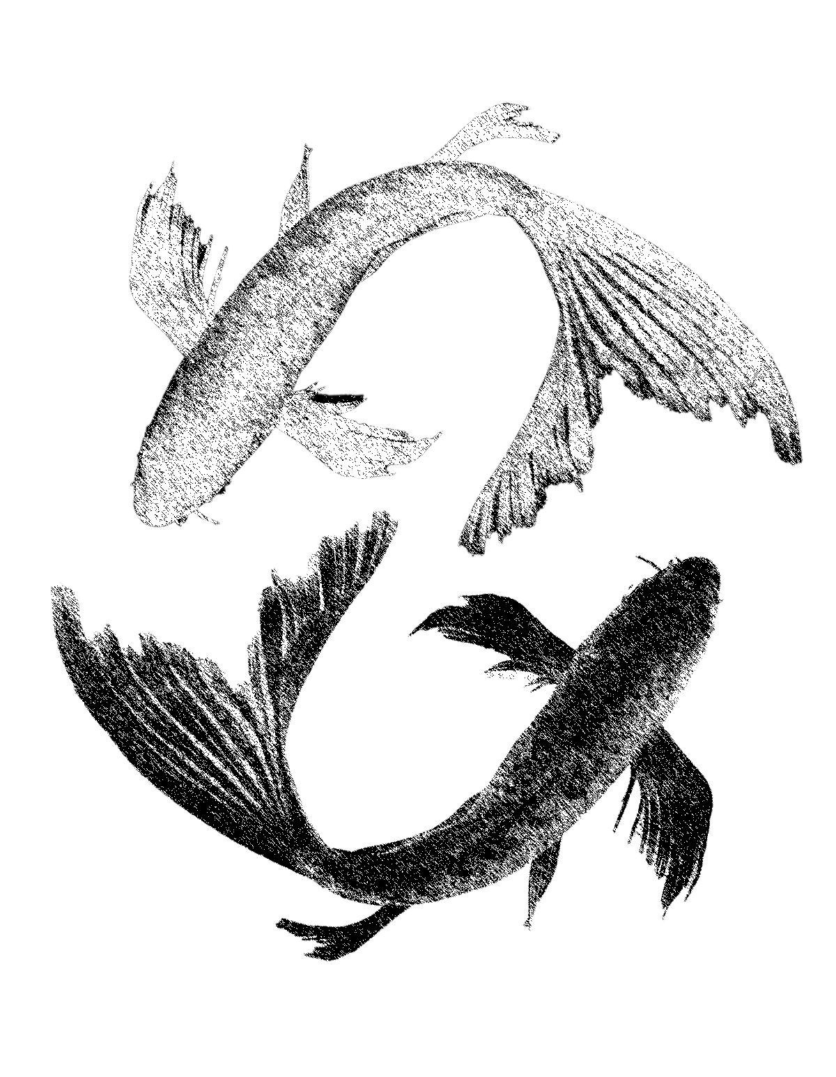 KOI