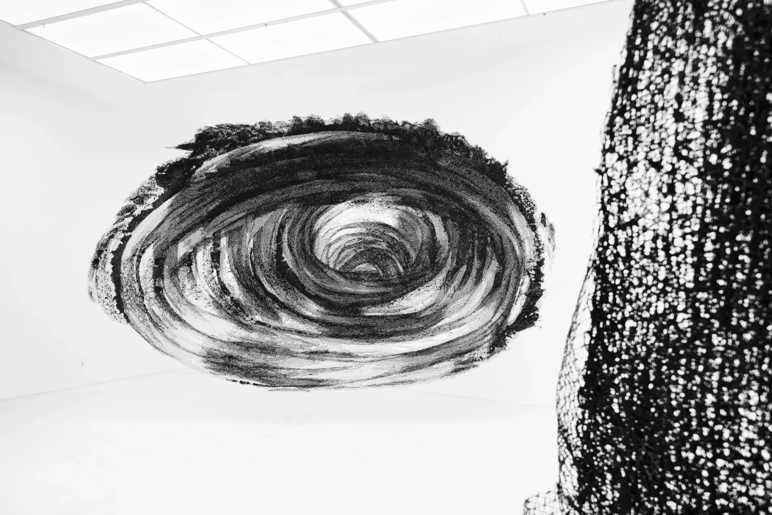 Tiger Trawl Nets Out of the Sea